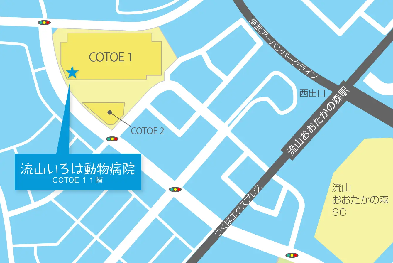 COTOEマップ